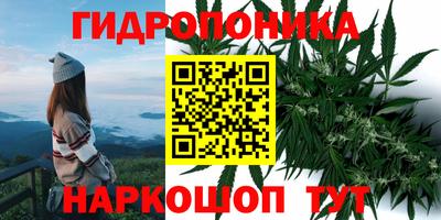 стаф Ирбит