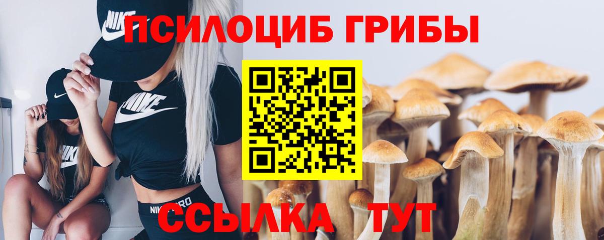 магазин  наркотиков  Вход с VPN  Майский  Псилоцибиновые грибы Magic Shrooms 